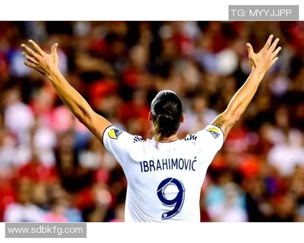 足球传奇维埃里35号的辉煌岁月与不屈精神的传奇故事