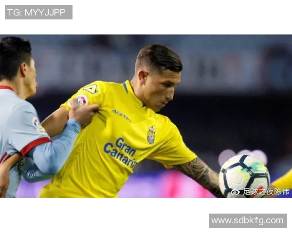 足球明星可可的妻子揭秘她的生活与事业成就 足球明星可可的妻子揭秘她的生活与事业成就